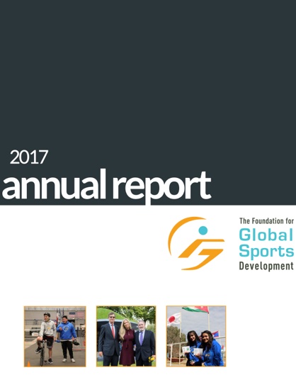 cover of 2017 annual report